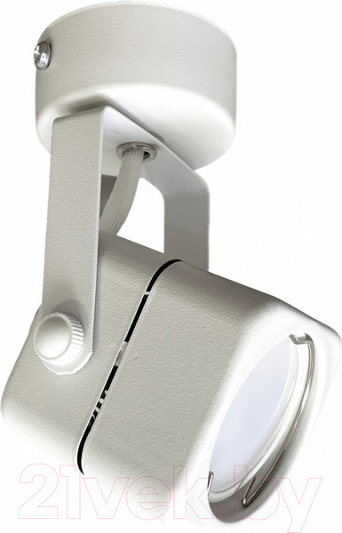 Изображение товара Спот Truenergy 21346