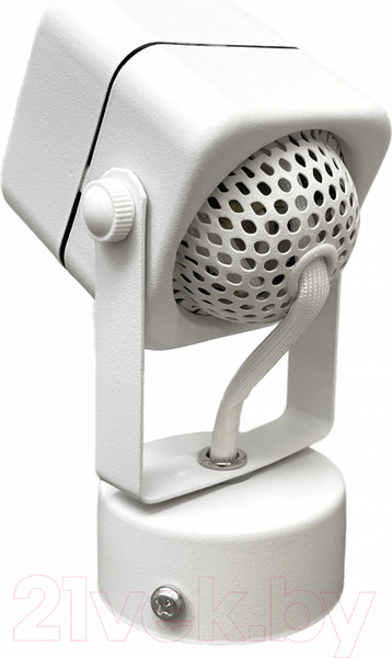 Изображение товара Спот Truenergy 21346