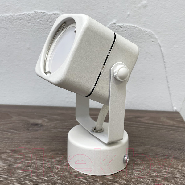 Изображение товара Спот Truenergy 21346