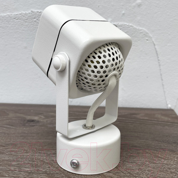 Изображение товара Спот Truenergy 21346