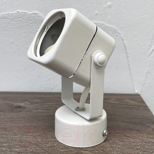 Изображение товара Спот Truenergy 21346