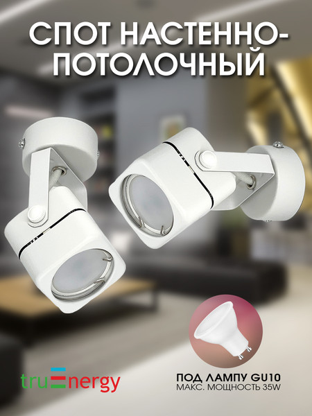 Изображение товара Спот Truenergy 21346