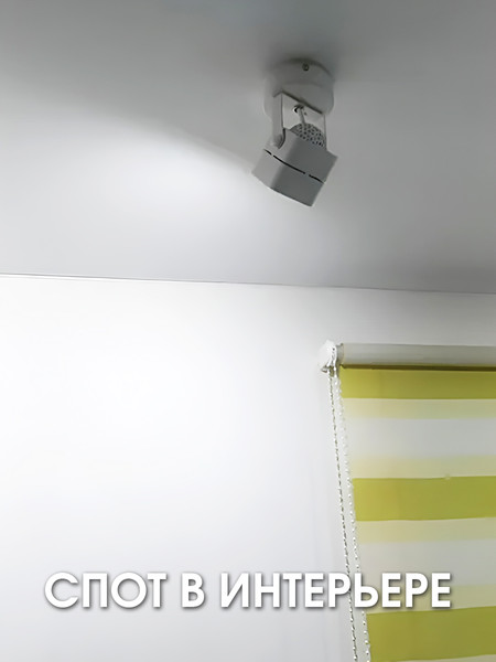 Изображение товара Спот Truenergy 21346