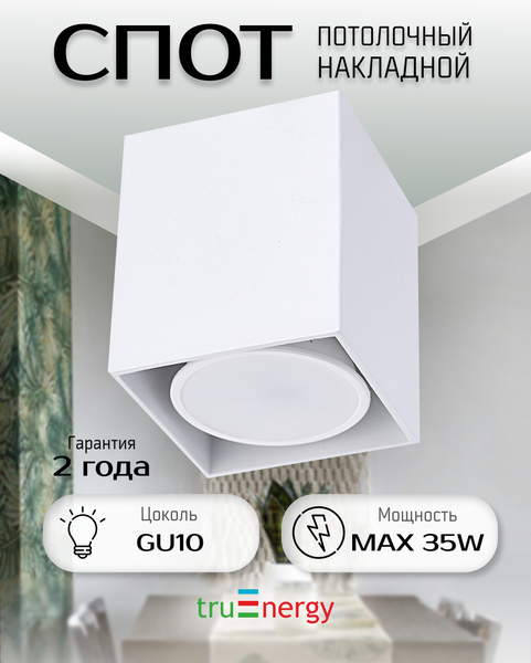Изображение товара Точечный светильник Truenergy 21351