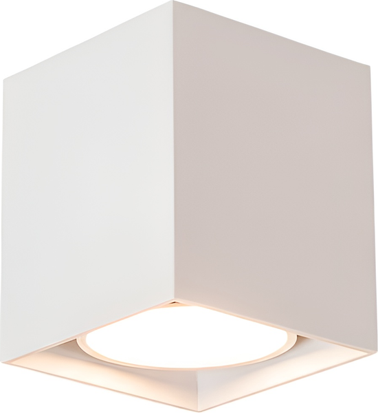 Изображение товара Точечный светильник Truenergy 21351