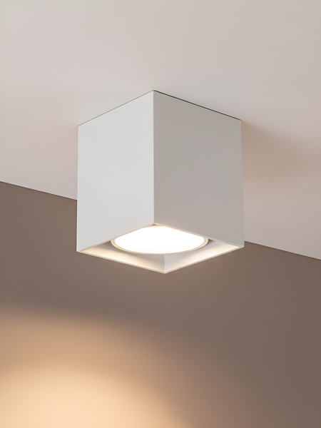 Изображение товара Точечный светильник Truenergy 21351