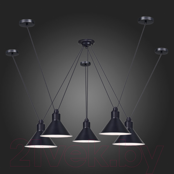 Изображение товара Люстра ST Luce SL1804.403.05