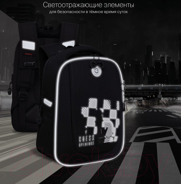 Изображение товара Школьный рюкзак Grizzly RAf-393-10 (черный)