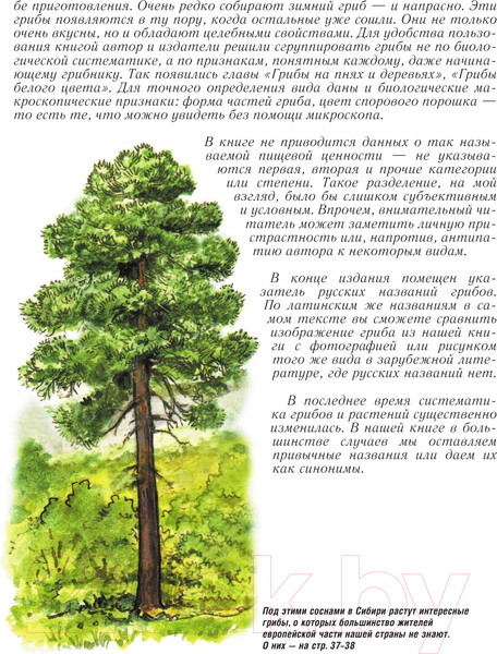 Изображение товара Книга АСТ Грибы. Большая энциклопедия (Сергеева М.Н.)