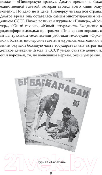 Изображение товара Нехудожественная книга Родина Пионерская организация. История феномена (Замостьянов А.А.)