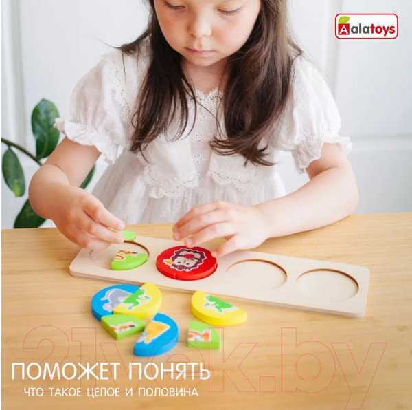 Изображение товара Сортер Alatoys СОР94