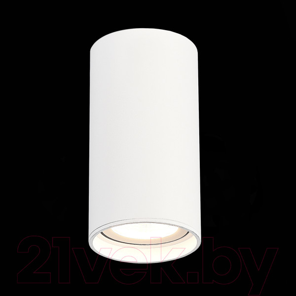 Изображение товара Потолочный светильник ST Luce ST157.532.15