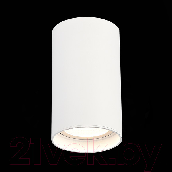 Изображение товара Потолочный светильник ST Luce ST157.532.20