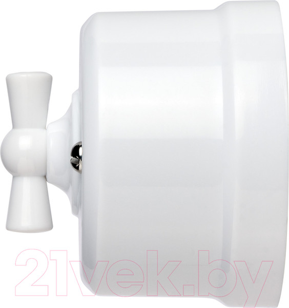 Изображение товара Выключатель TDM Виви SQ1820-1006 (белый)