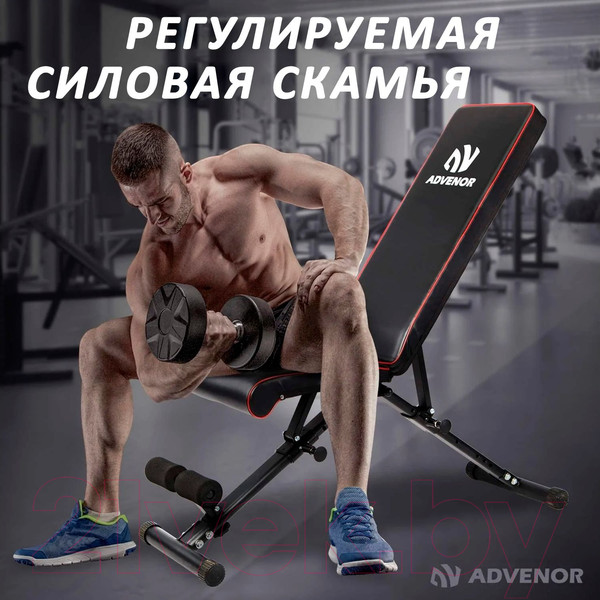 Изображение товара Скамья многофункциональная DFC B-Advenor