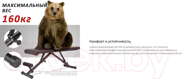 Изображение товара Скамья многофункциональная DFC B-Advenor