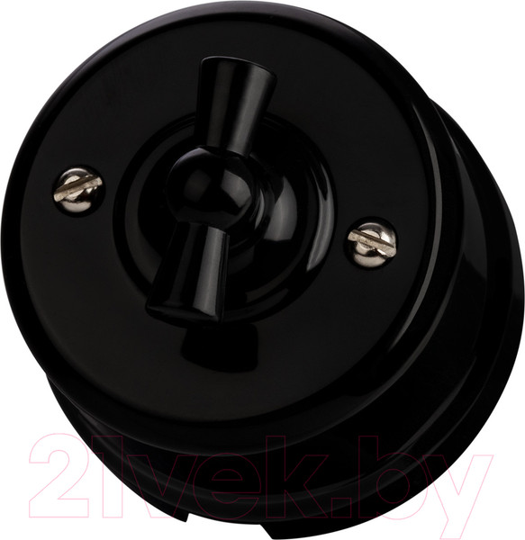 Изображение товара Выключатель TDM Виви SQ1820-1205 (черный)