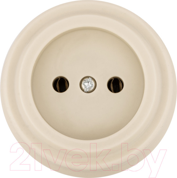 Изображение товара Розетка TDM Виви SQ1820-1316 (слоновая кость)