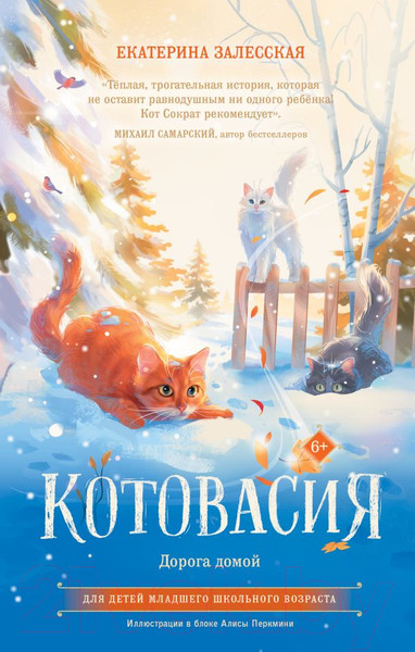 Художественная книга АСТ Котовасия. Дорога домой (Залесская Е.В.) — фото 5