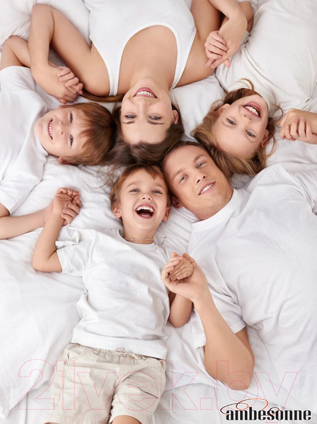 Изображение товара Ортопедическая подушка Ambesonne Memory Foam / vp004_43x56