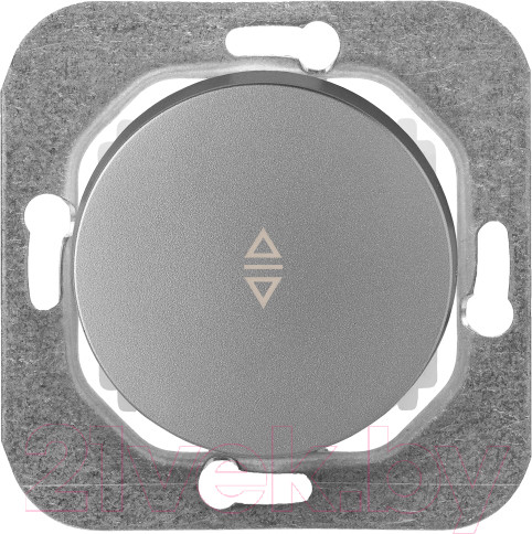 Изображение товара Выключатель Bylectrica С6/2 10-3362 (серебристый)