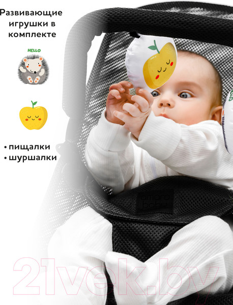 Изображение товара Детский шезлонг Amarobaby Baby Time / AB21-25BT/09 (черный)