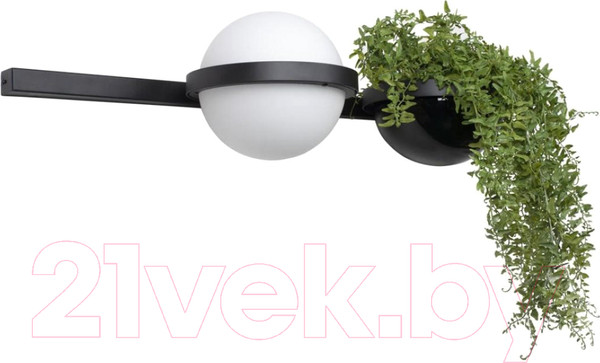 Изображение товара Бра Loftit Jardin 10121W/A