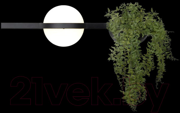 Изображение товара Бра Loftit Jardin 10121W/A