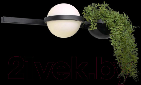 Изображение товара Бра Loftit Jardin 10121W/A