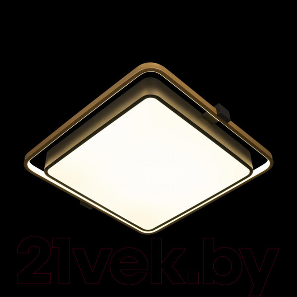 Изображение товара Потолочный светильник Loftit Mike 10172