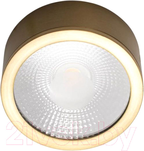 Изображение товара Потолочный светильник Loftit Solar 10187/A