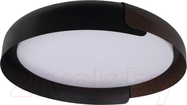 Изображение товара Потолочный светильник Loftit Coin 10198 (черный)