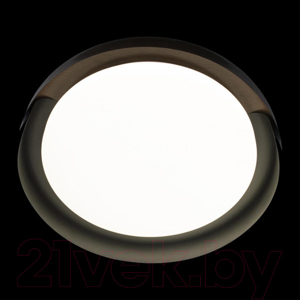 Изображение товара Потолочный светильник Loftit Coin 10198 (черный)