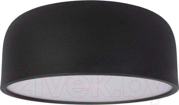 Изображение товара Потолочный светильник Loftit Axel 10201/350 (черный)