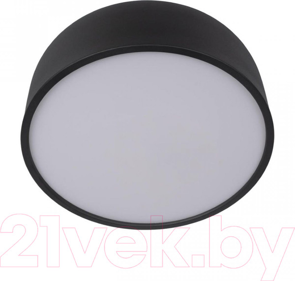 Изображение товара Потолочный светильник Loftit Axel 10201/350 (черный)