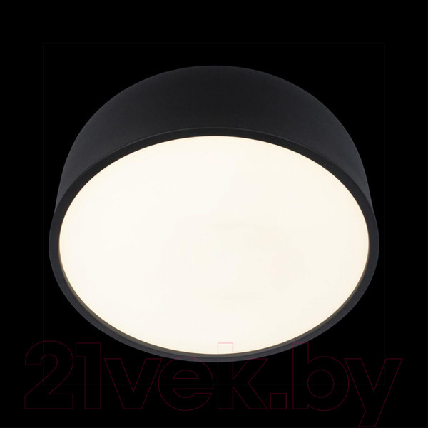 Изображение товара Потолочный светильник Loftit Axel 10201/350 (черный)