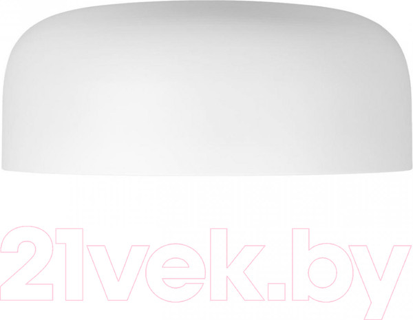 Изображение товара Потолочный светильник Loftit Coin 10201/480 (белый)