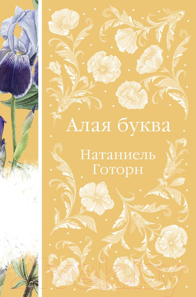 Изображение товара Книга Эксмо Алая буква (Готорн Н.)
