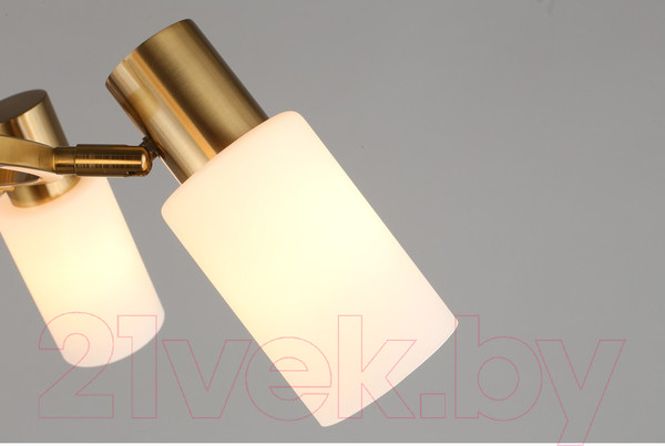 Изображение товара Люстра Omnilux Ales OML-69103-06