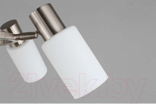 Изображение товара Люстра Omnilux Ales OML-69113-06