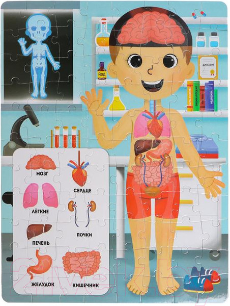 Изображение товара Пазл Puzzle Time Светящийся Рентген-кабинет / 5664457 (88эл)
