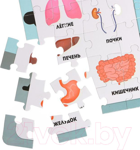 Изображение товара Пазл Puzzle Time Светящийся Рентген-кабинет / 5664457 (88эл)