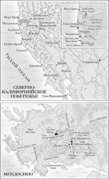 Изображение товара Книга Inspiria Когда звезды чернеют (Маклейн Пола)