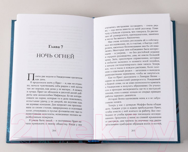 Изображение товара Книга Альпина Пустая (Летт Я.)