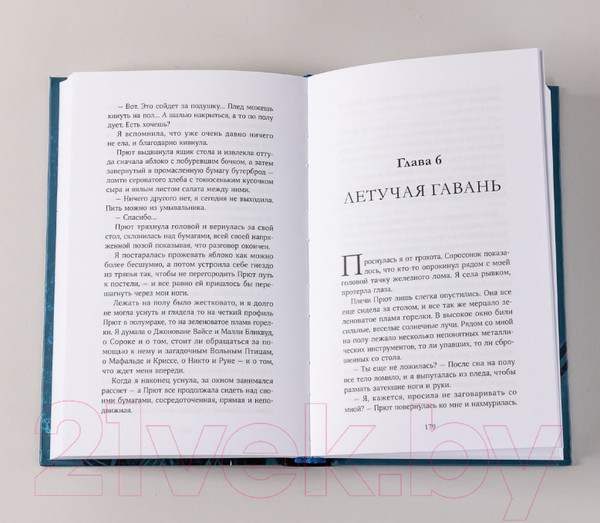 Изображение товара Книга Альпина Пустая (Летт Я.)