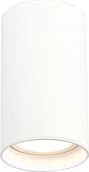 Изображение товара Потолочный светильник ST Luce ST157.542.20