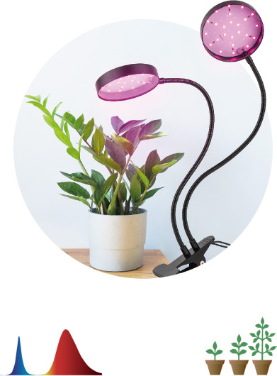 Изображение товара Светильник для растений ЭРА FITO-20W-АLED-R / Б0053290