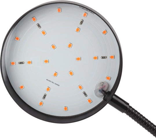 Изображение товара Светильник для растений ЭРА FITO-20W-АLED-R / Б0053290