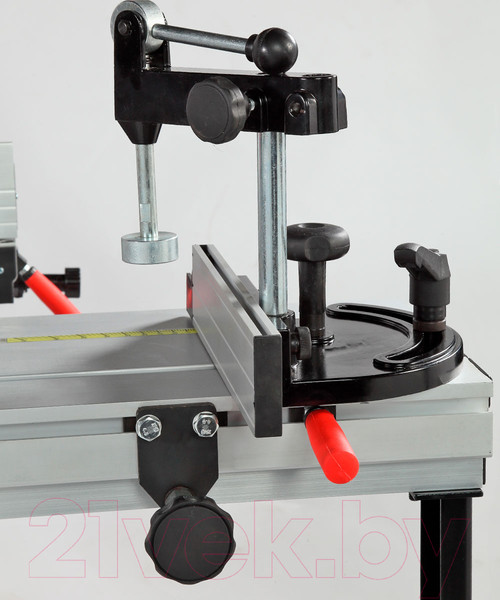 Изображение товара Циркулярный станок БЕЛМАШ TS-250ST1300 / S194A