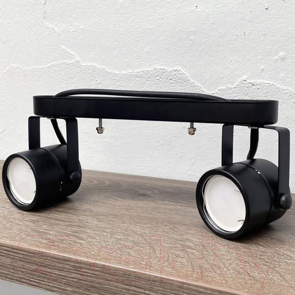 Изображение товара Спот Truenergy 21352